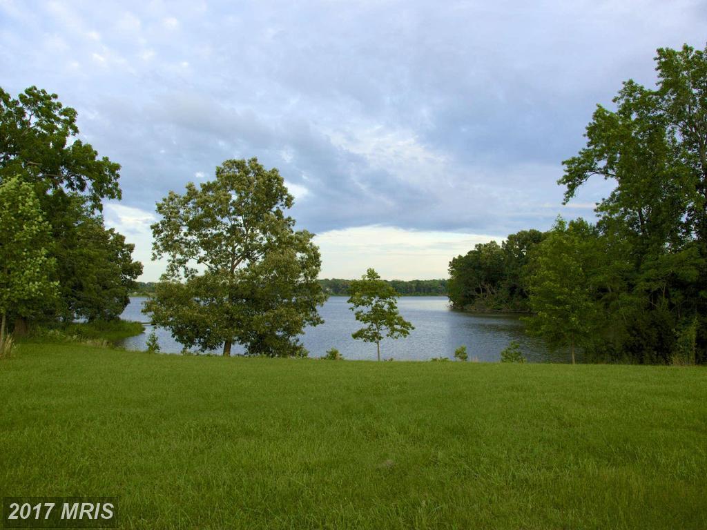 333 Sayers Forest Drive - Photo 1