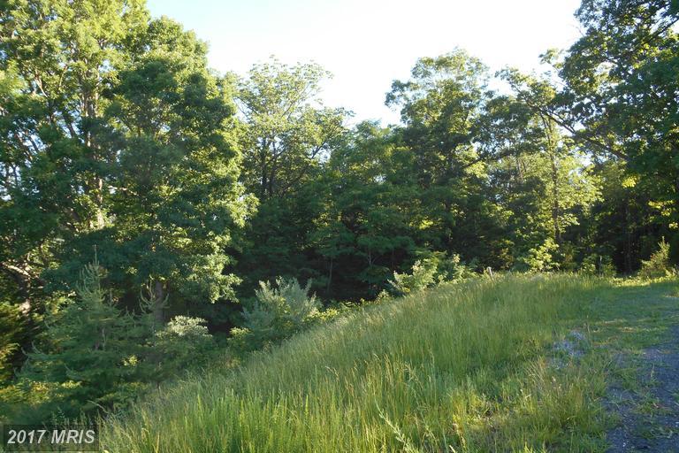 LOT 34 Savanna Drive - Photo 1