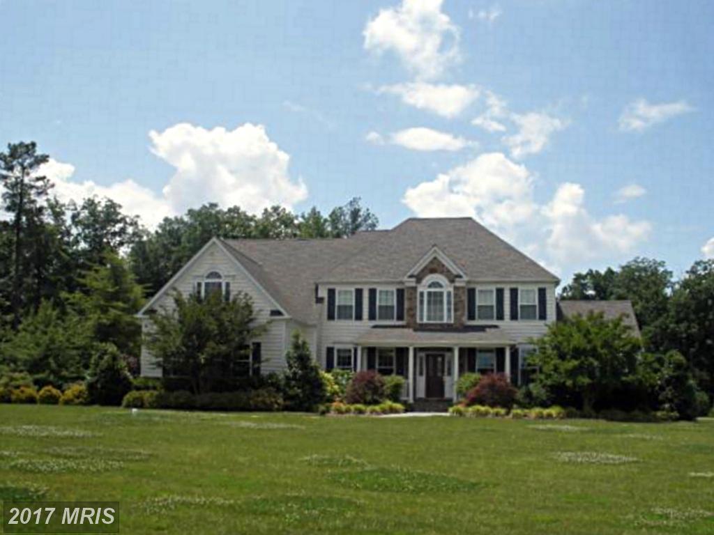 22147 Hanover Woods Court - Photo 1