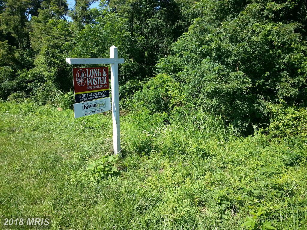 8307 Prophet Acres Road - Photo 1
