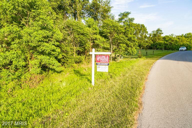 8313 Prophet Acres Road - Photo 1