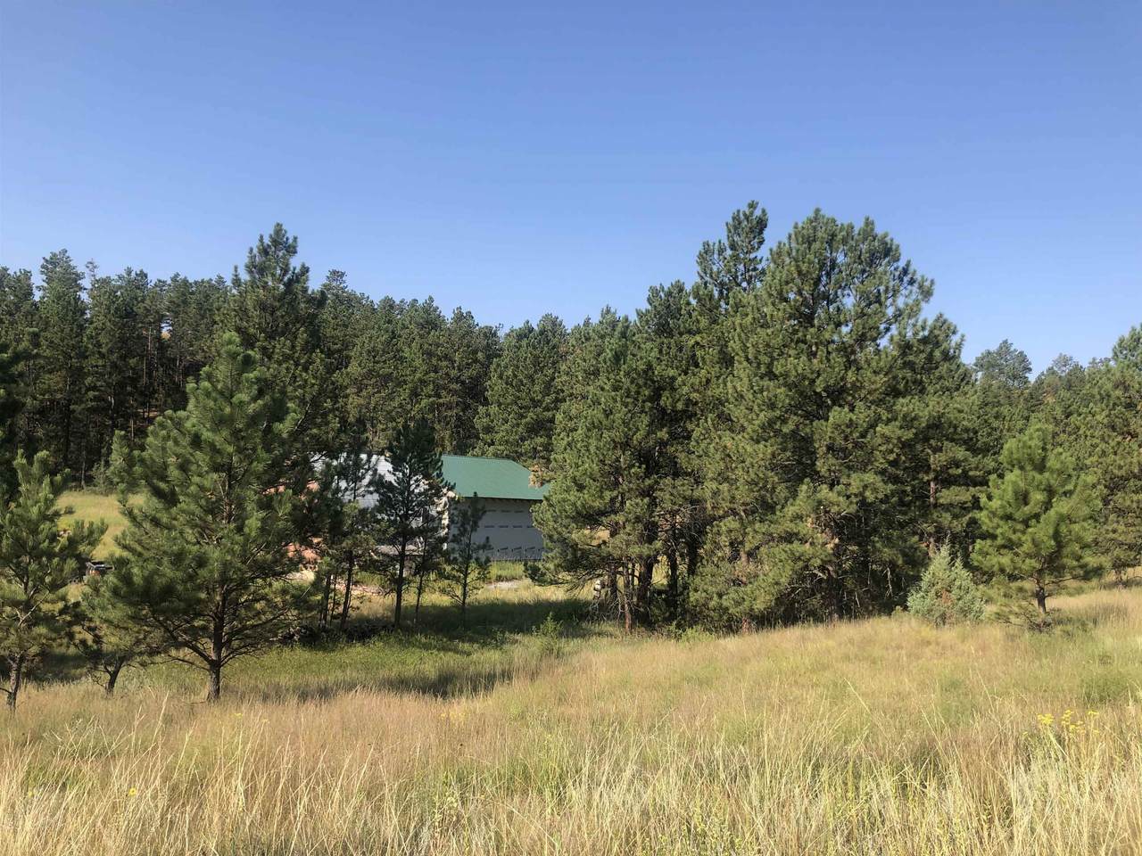27176 Big Valley Road - Photo 1