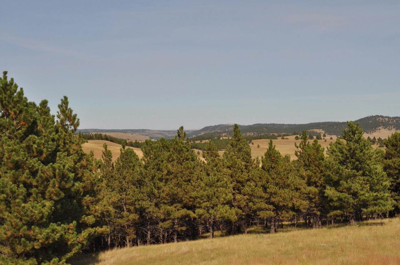 Rr Cobb Road - Photo 1