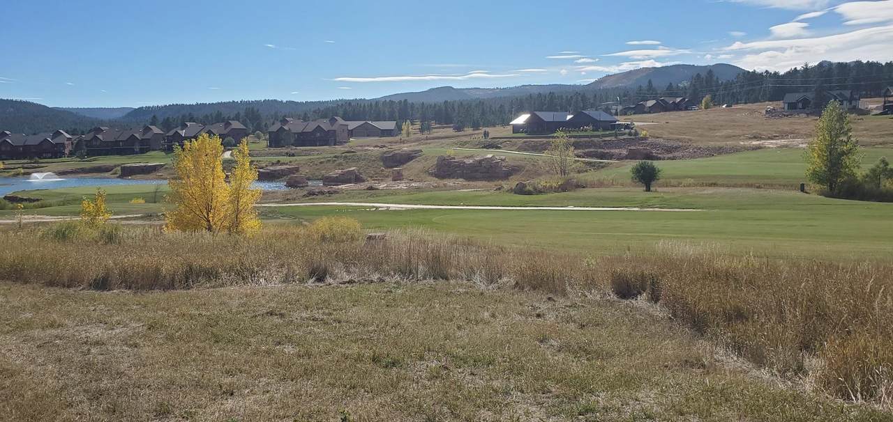 TBD Apple Springs Road - Photo 1