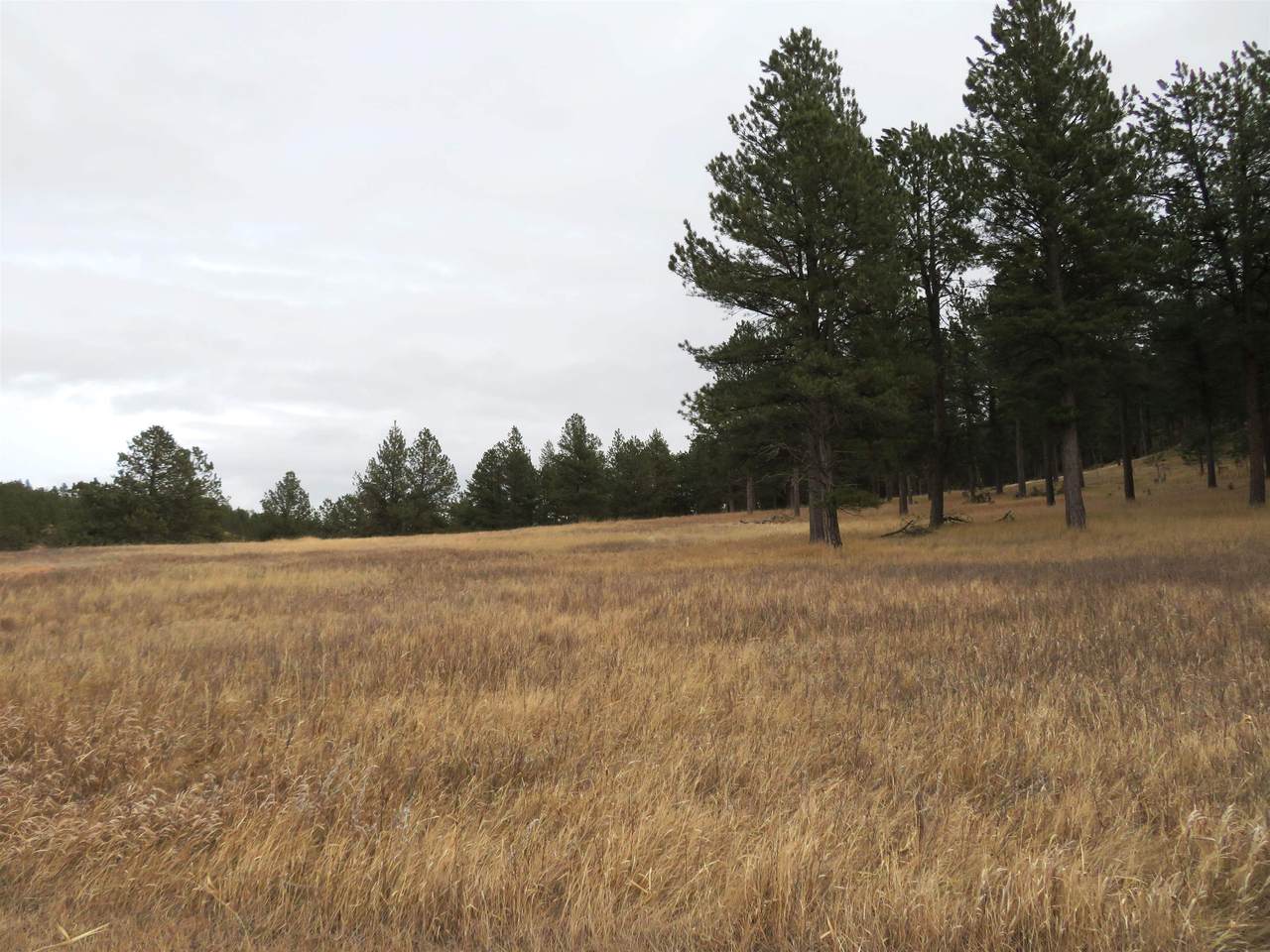TBD Windsong Valley Road - Photo 1