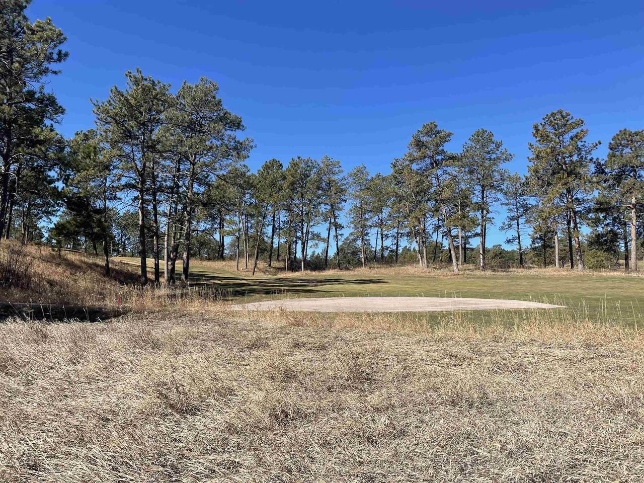110 Bald Eagle Drive - Photo 1