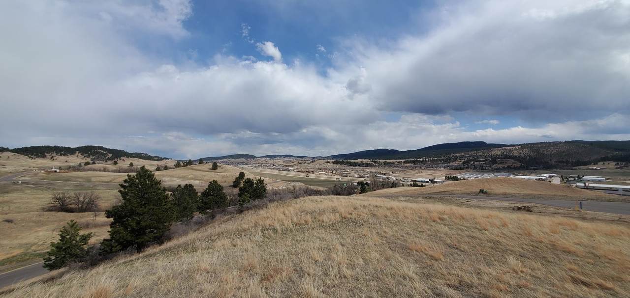 3977 Twisted Oak Road - Photo 1