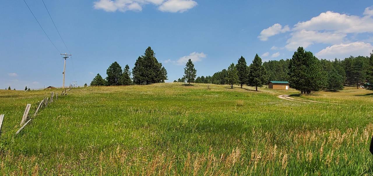 12069 Woodford Road - Photo 1