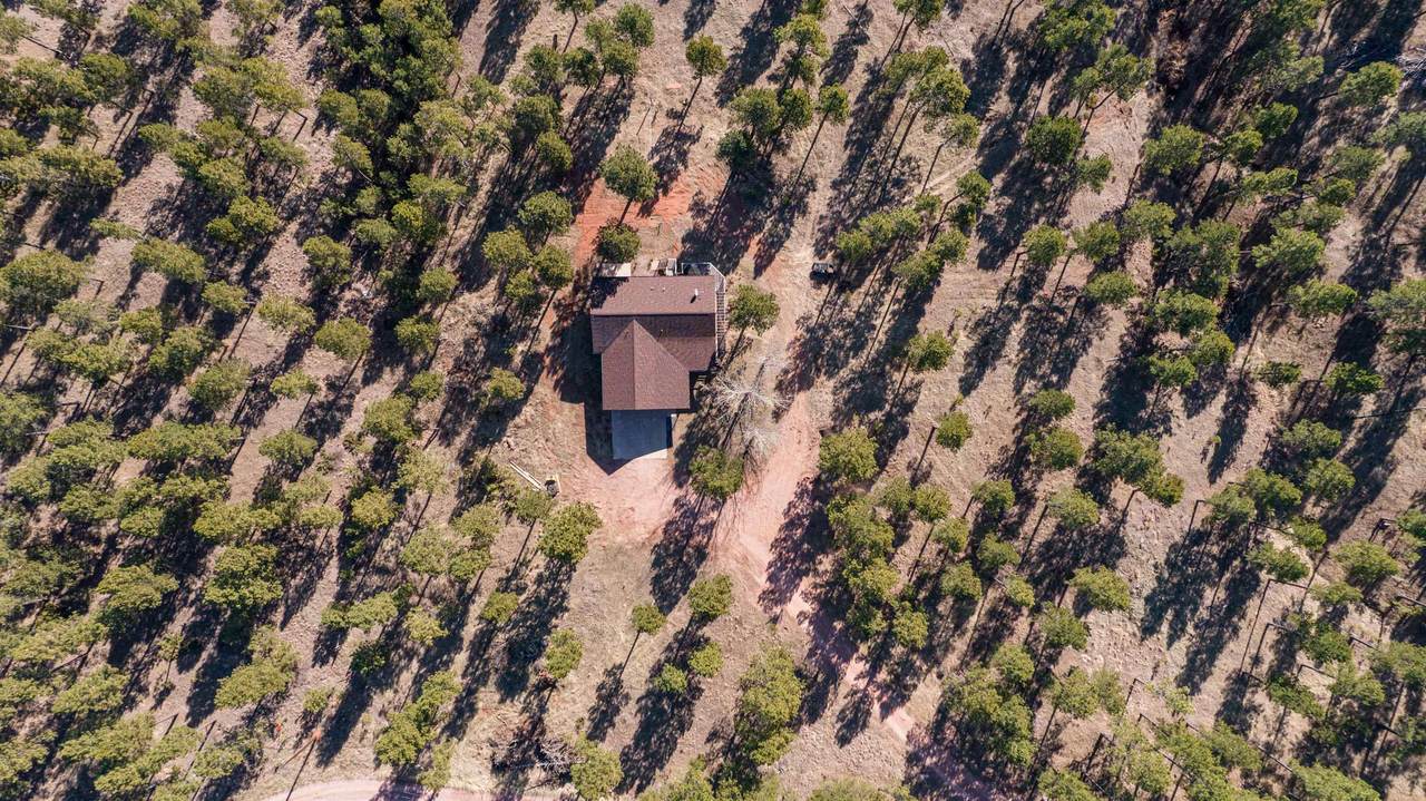 13735 Haugan Trail - Photo 1