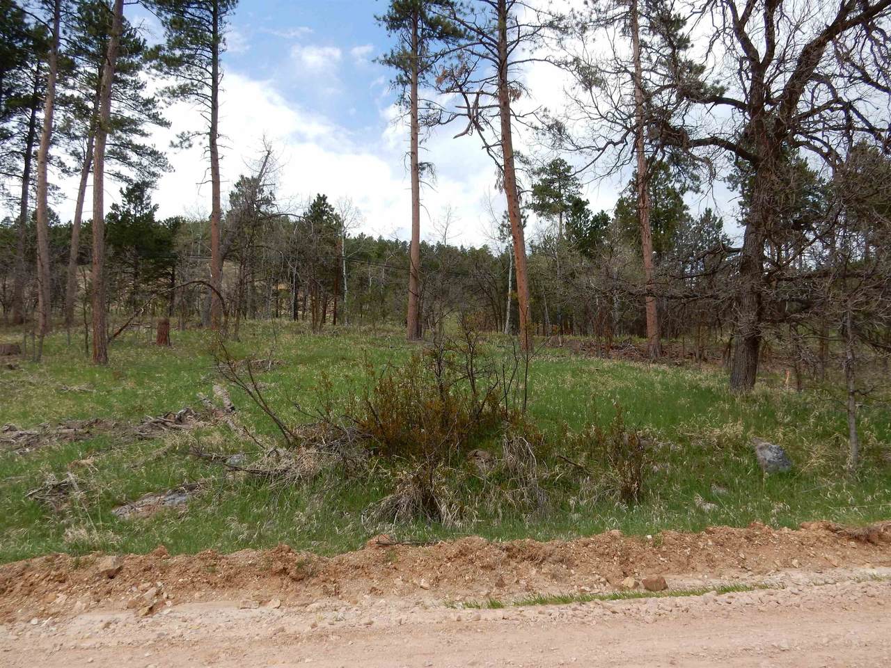 Lot 1, Block 1 Address Not Published - Photo 1