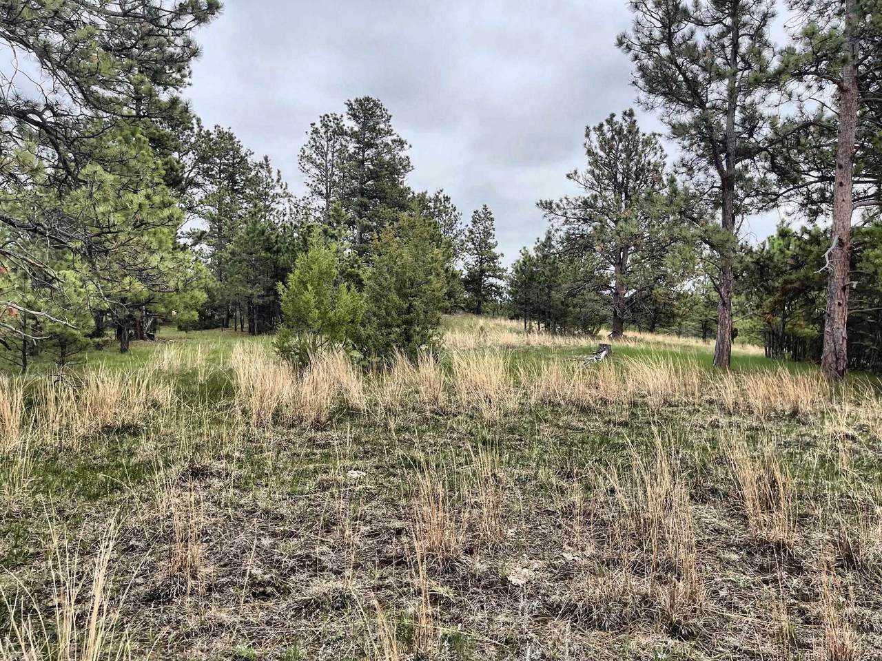 TBD Farmer Road - Photo 1