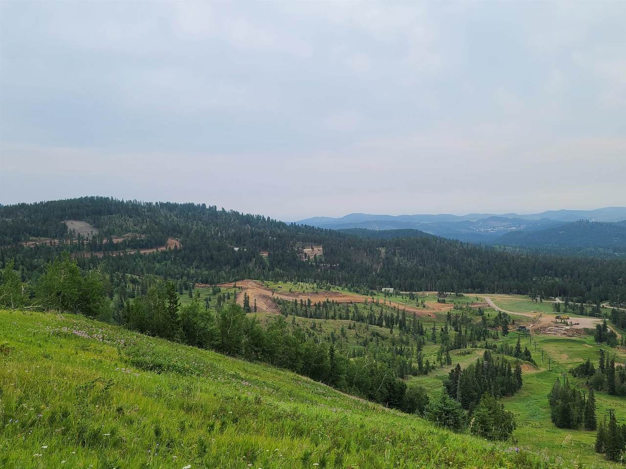 Lot 84 Birch Drive - Photo 1
