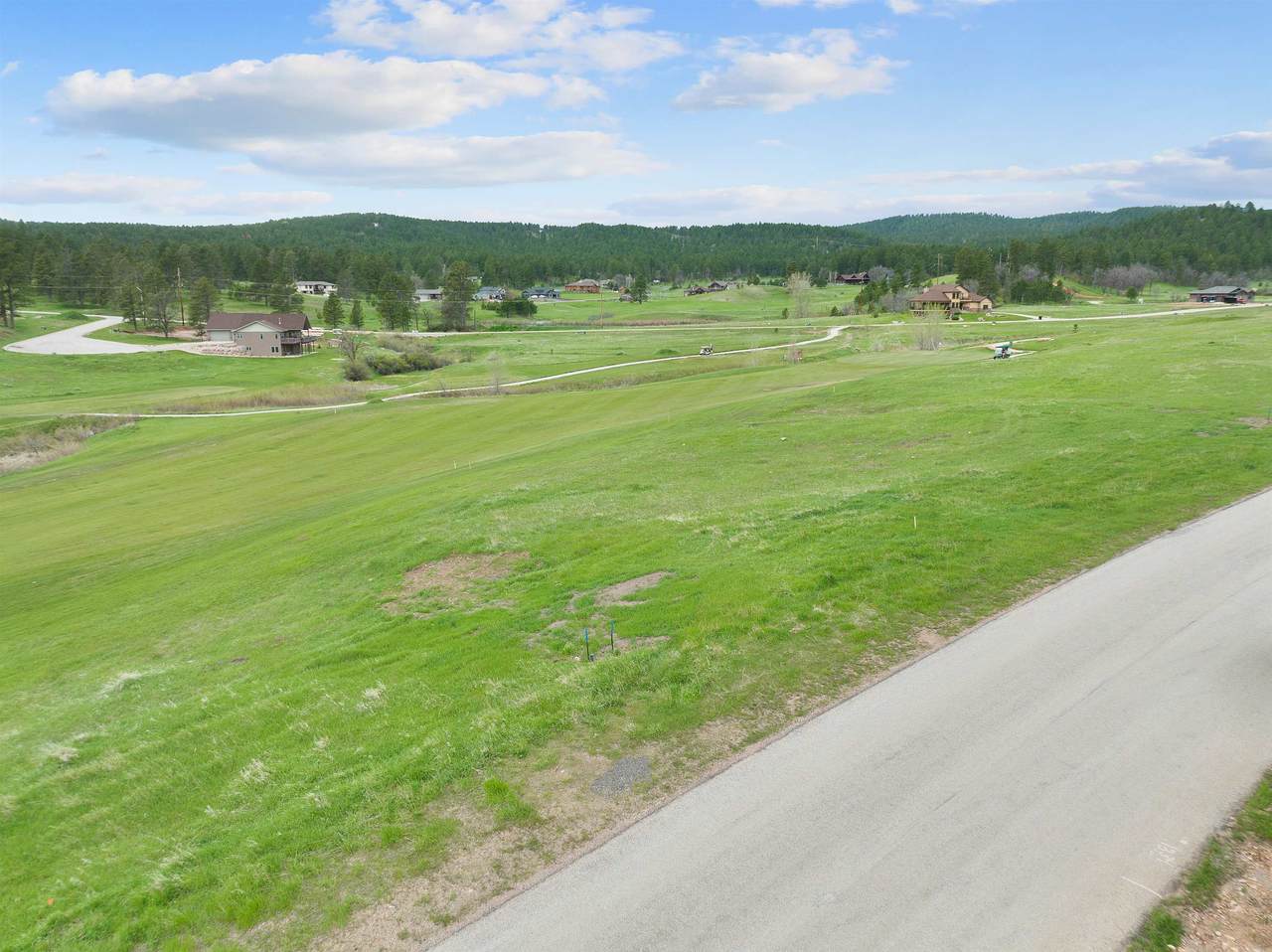 TBD Apple Springs Boulevard - Photo 1
