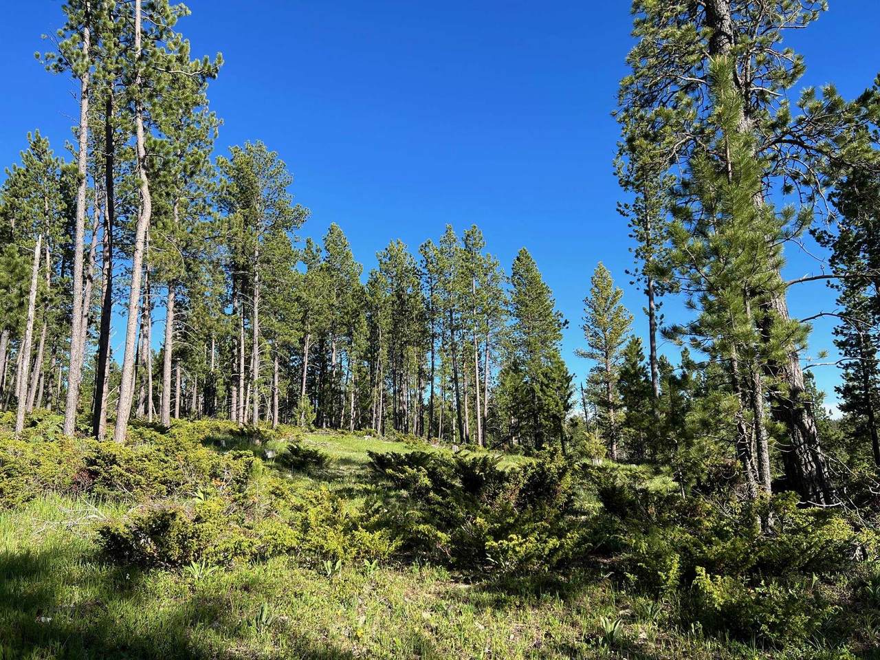 TBD Lot 5 Boles Canyon Road - Photo 1