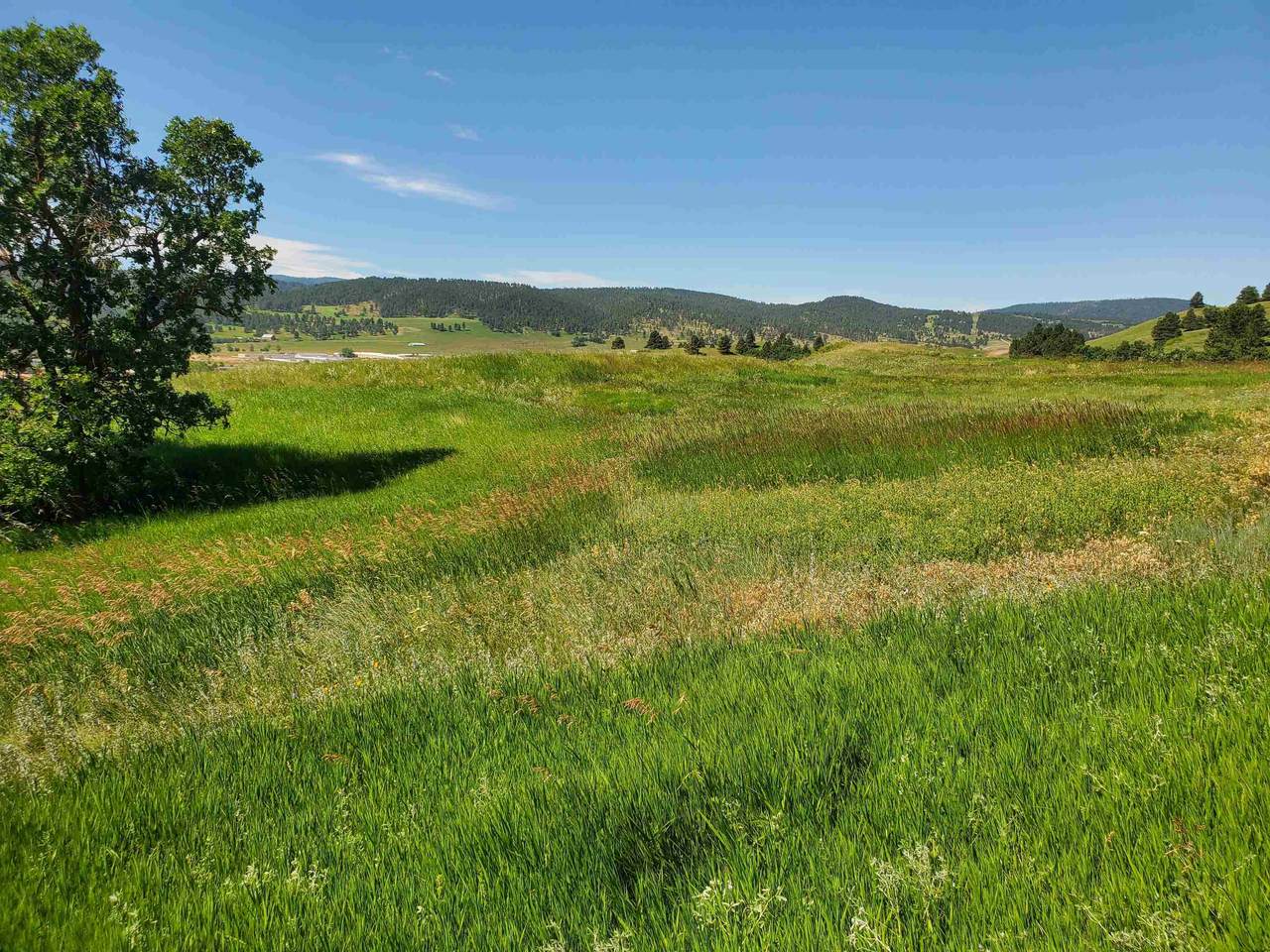 3505 Twisted Oak Road - Photo 1