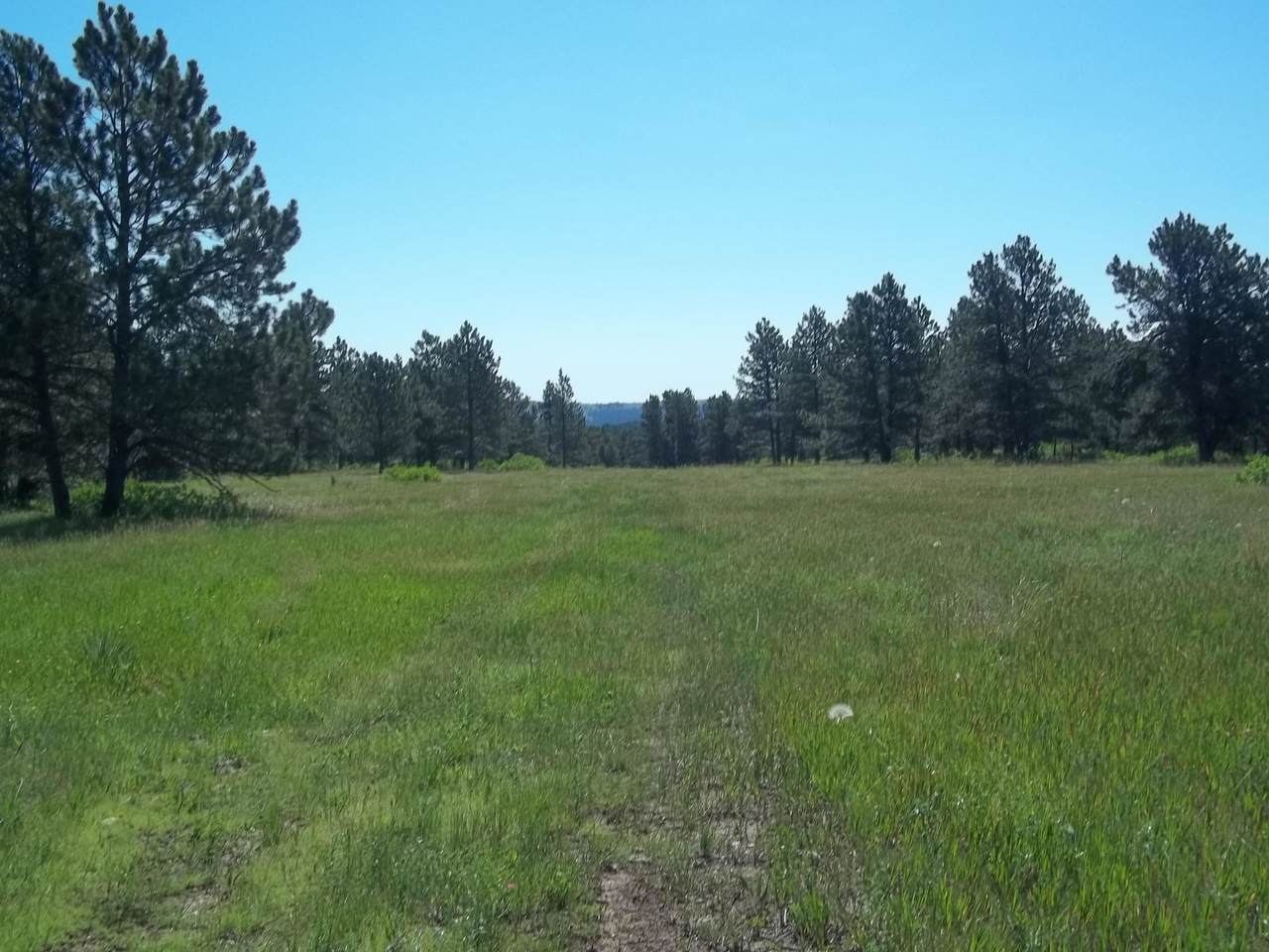 TBD Argyle Road - Photo 1