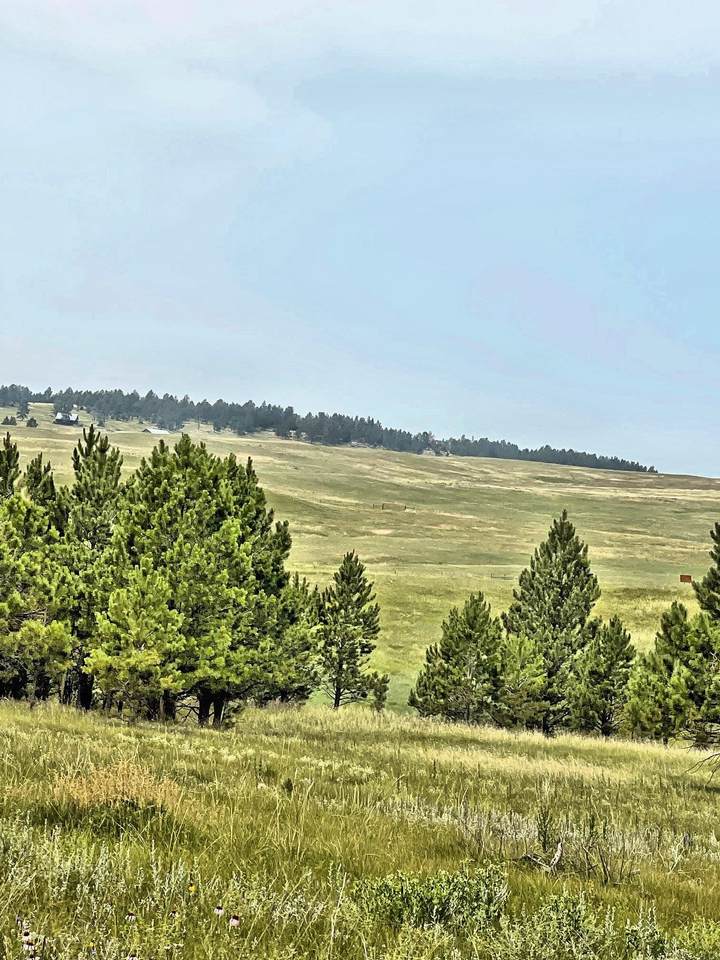 TBD Canyon Rim Ranch - Photo 1