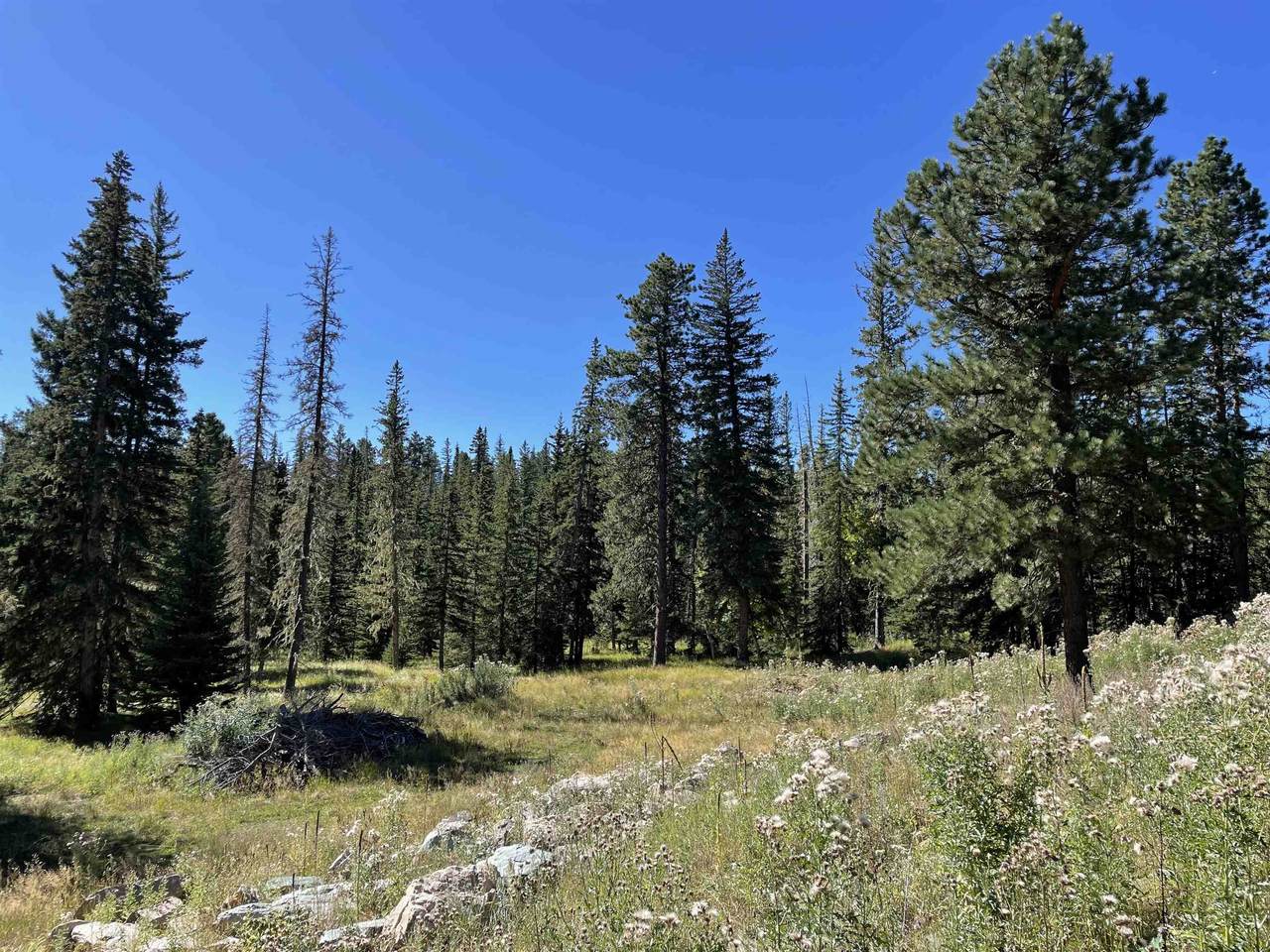 Lot 18A Woodland Springs Road - Photo 1