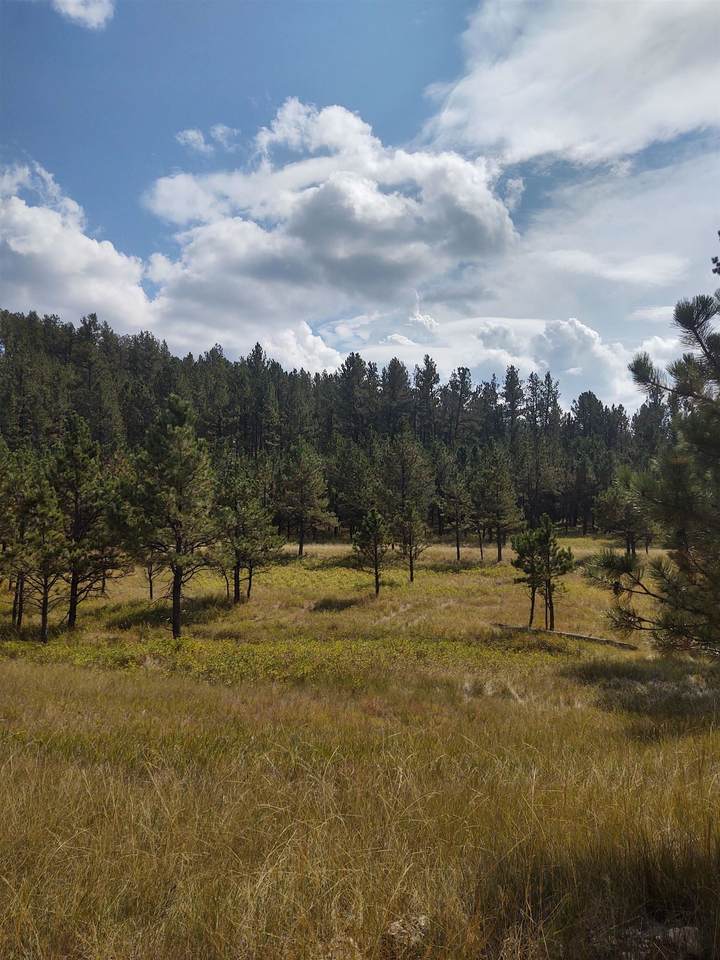 Tracts 9/10 Hell Canyon Road - Photo 1