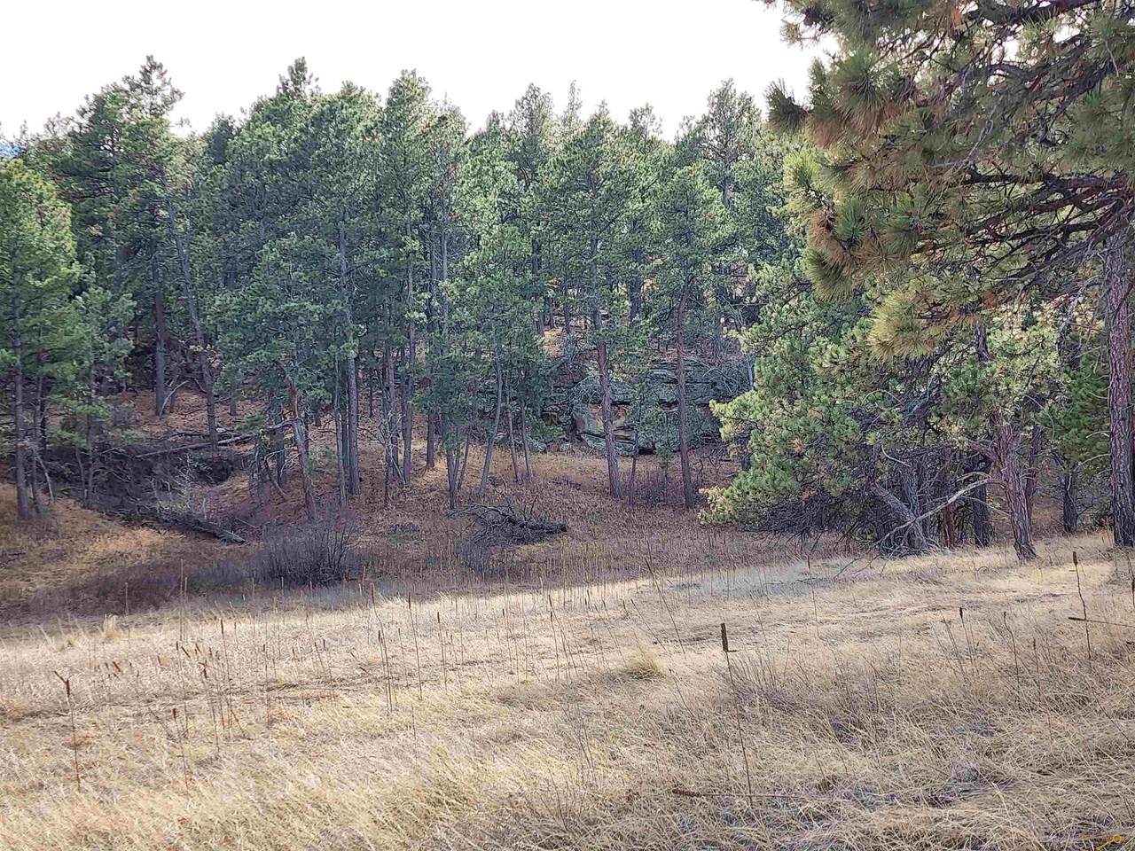 TBD Frontier Loop - Photo 1