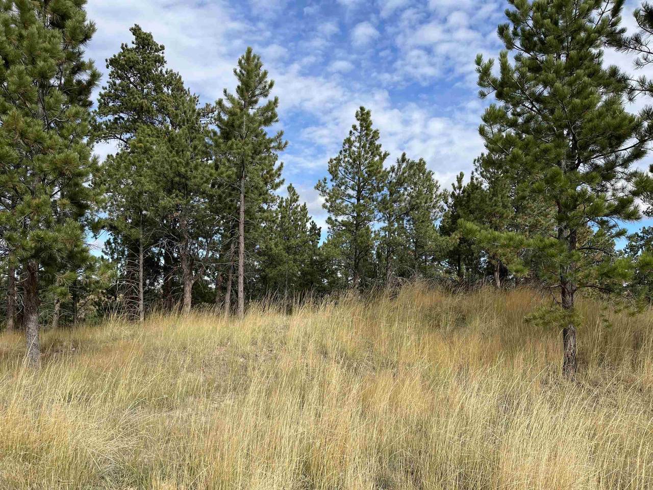 Lot 29 Block 5 Cedar Lane - Photo 1