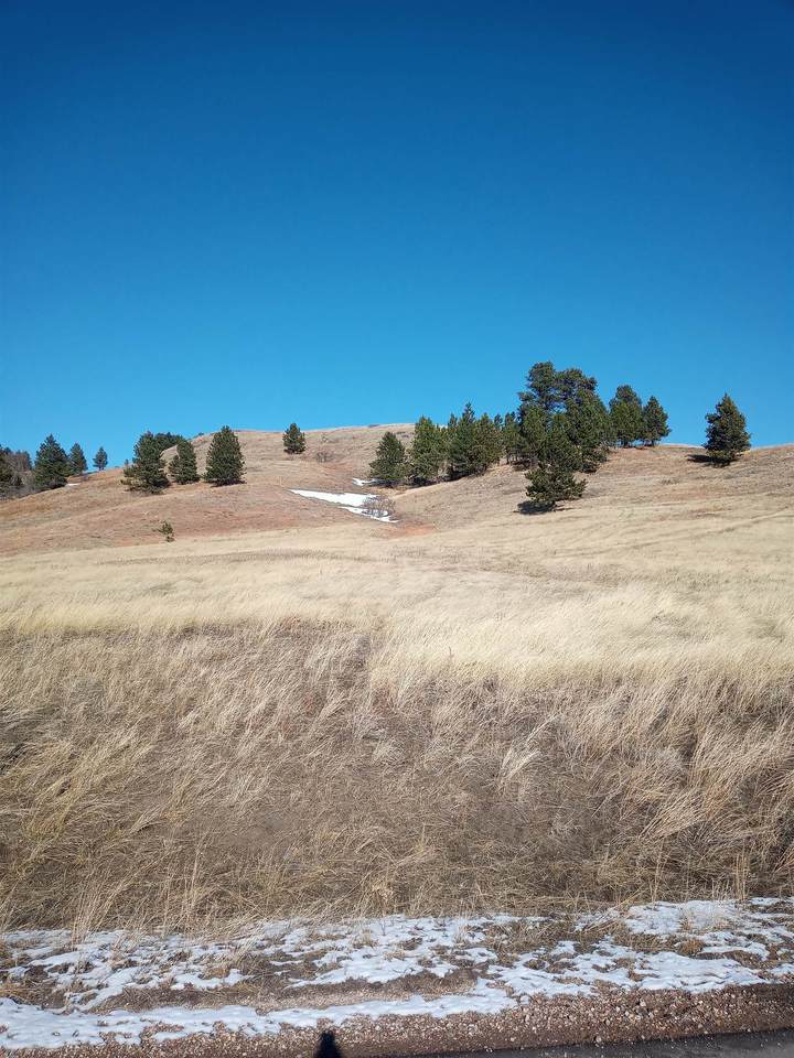 3825 Twisted Oak Road - Photo 1