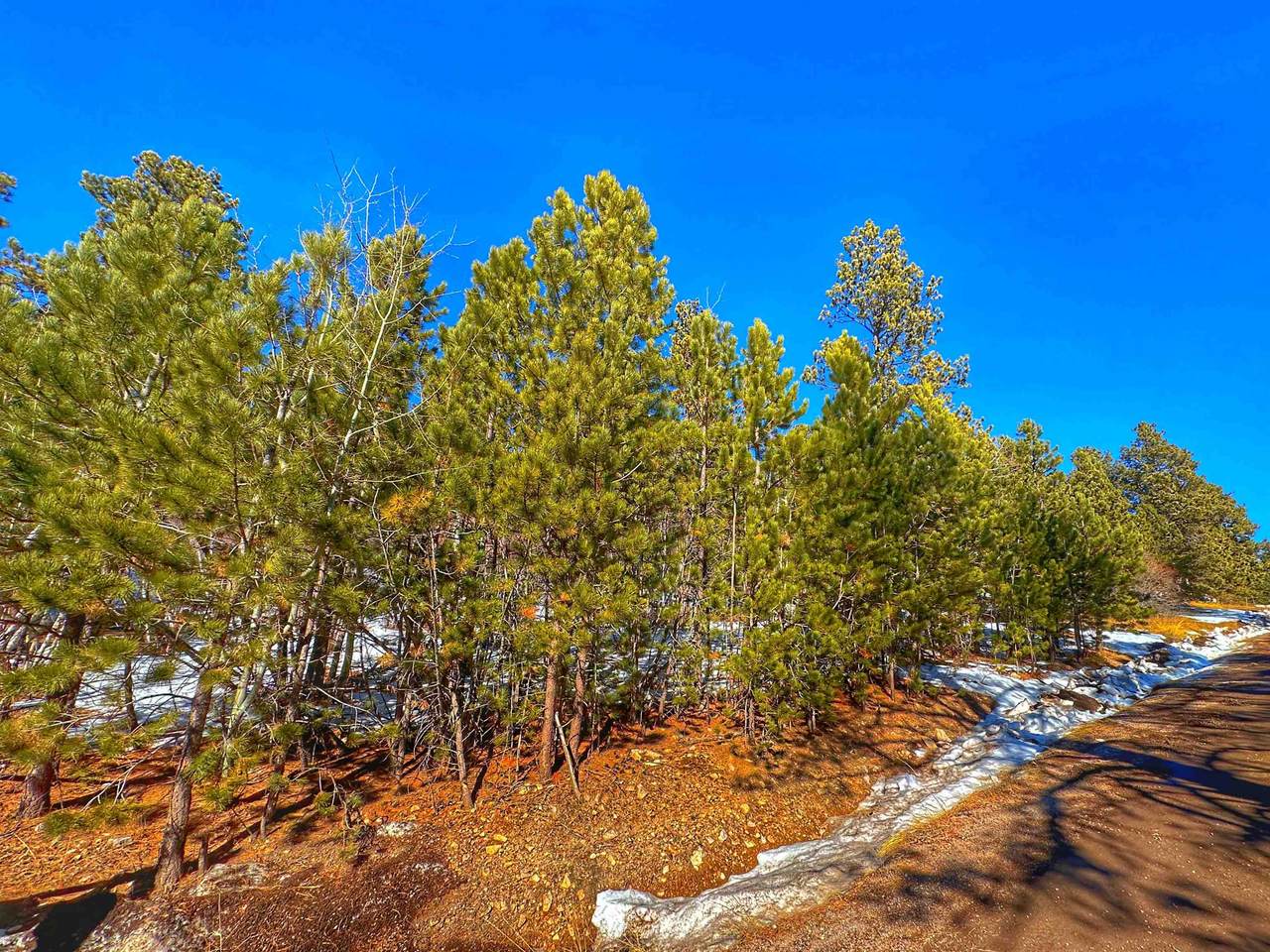 TBD Last Chance Trail - Photo 1