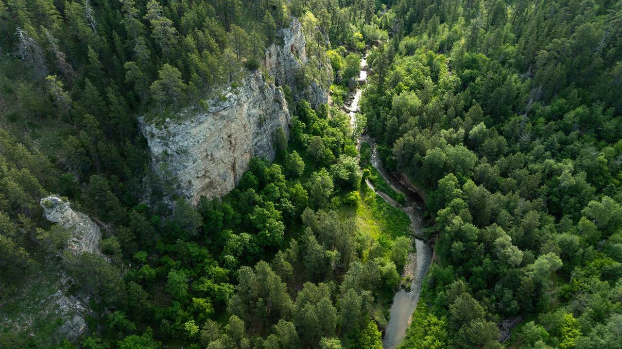 20582 Whitewood Creek Road - Photo 1