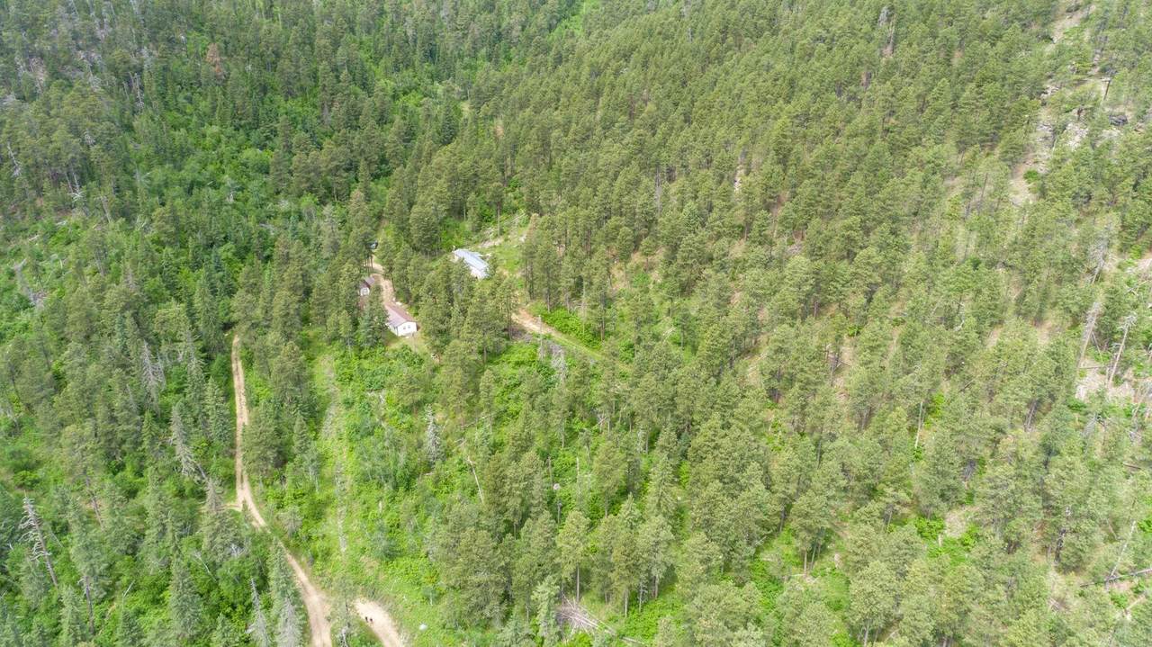 11031 Burno Gulch Road - Photo 1