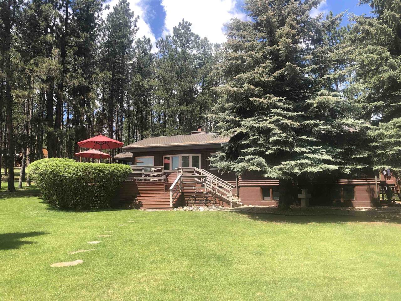 12776 Black Forest Road - Photo 1