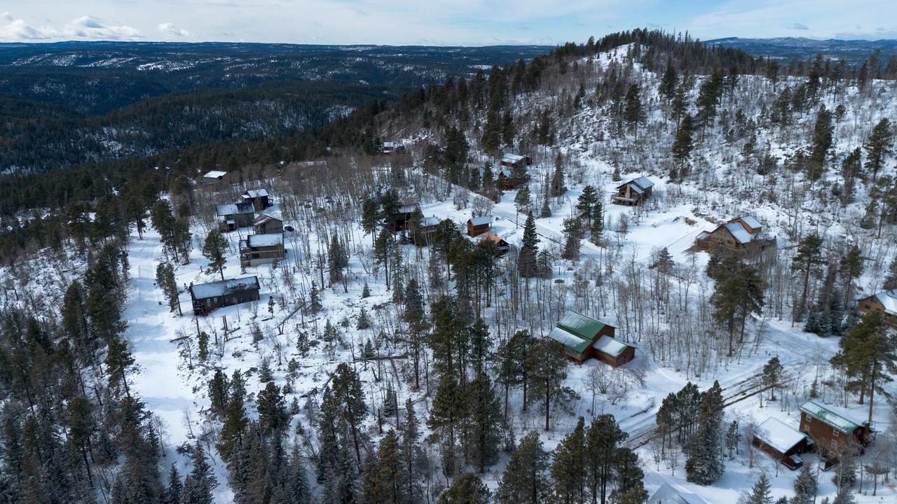 21163 Turkey Trail - Photo 1