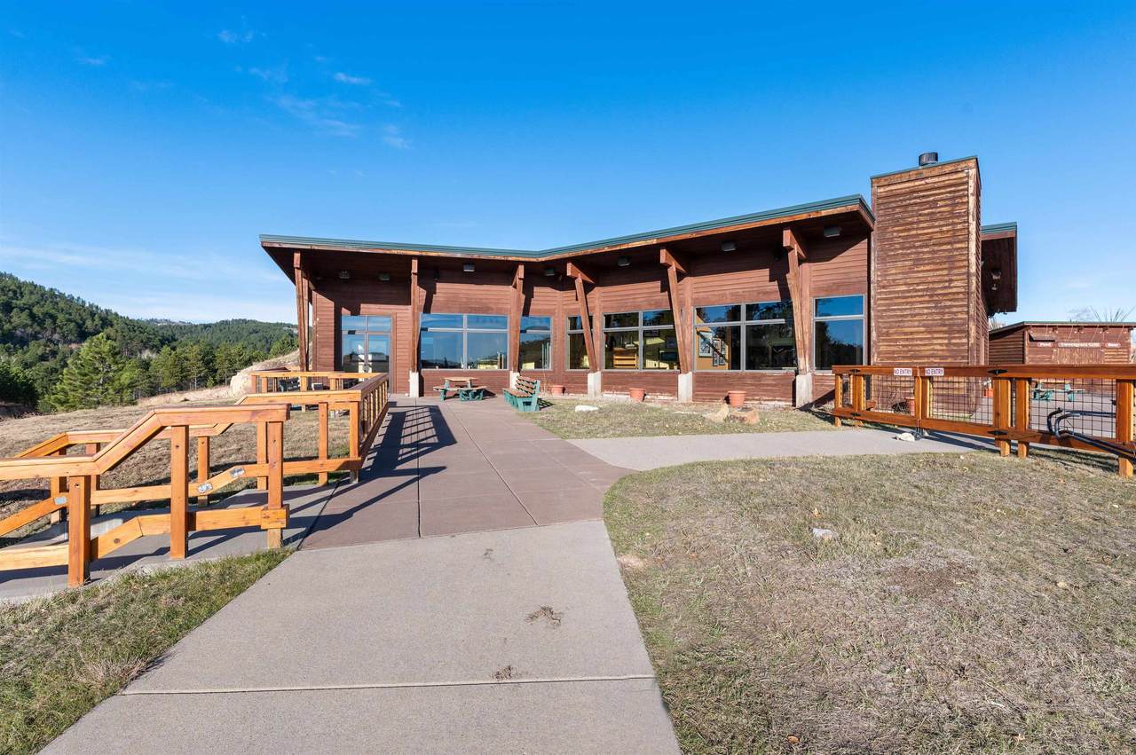 100 Tatanka Drive - Photo 1