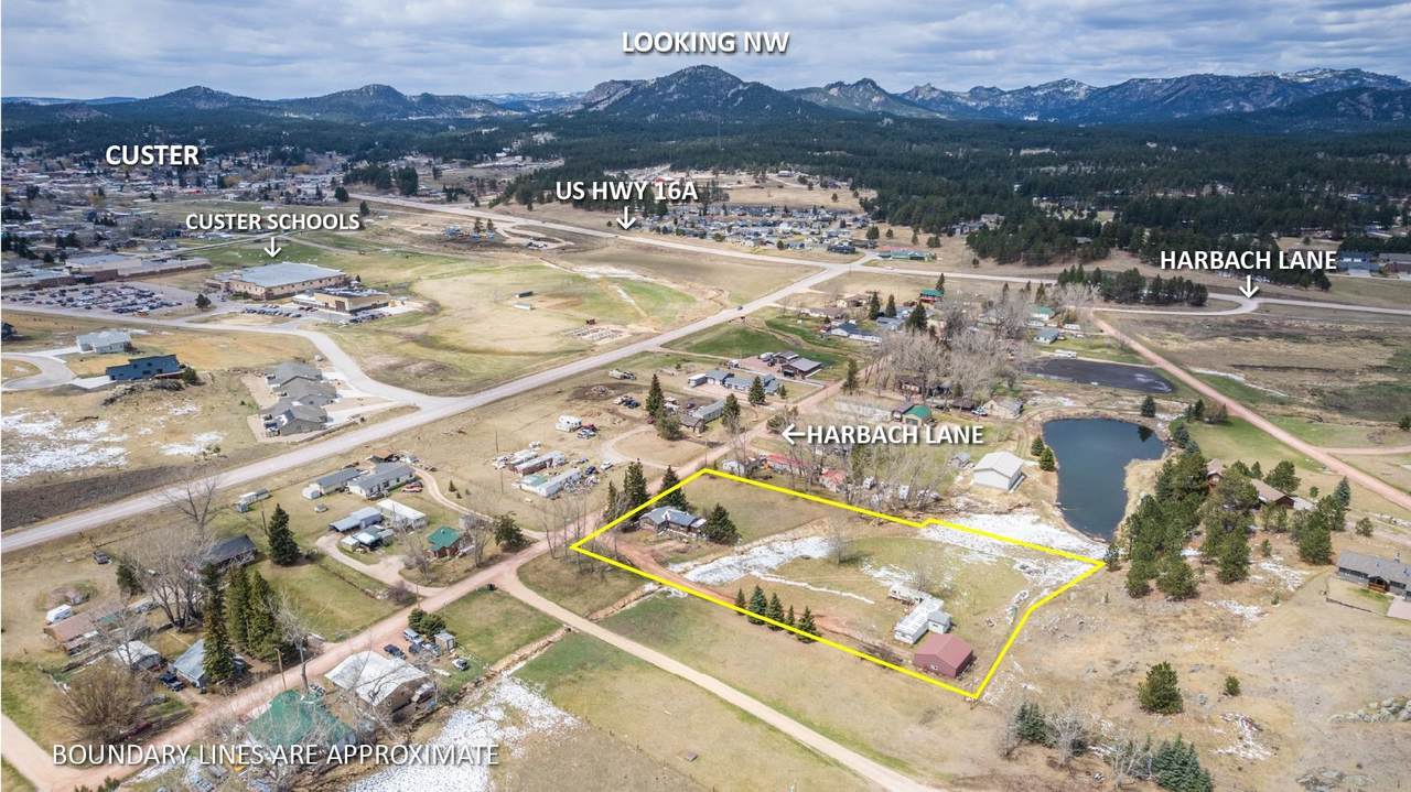 25120 Harbach Lane - Photo 1