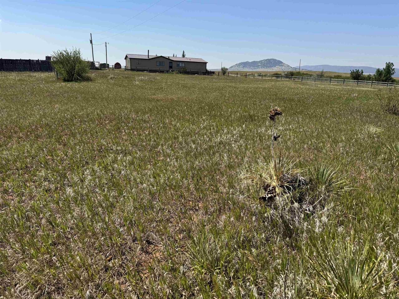 2323 Highway 585 - Photo 1