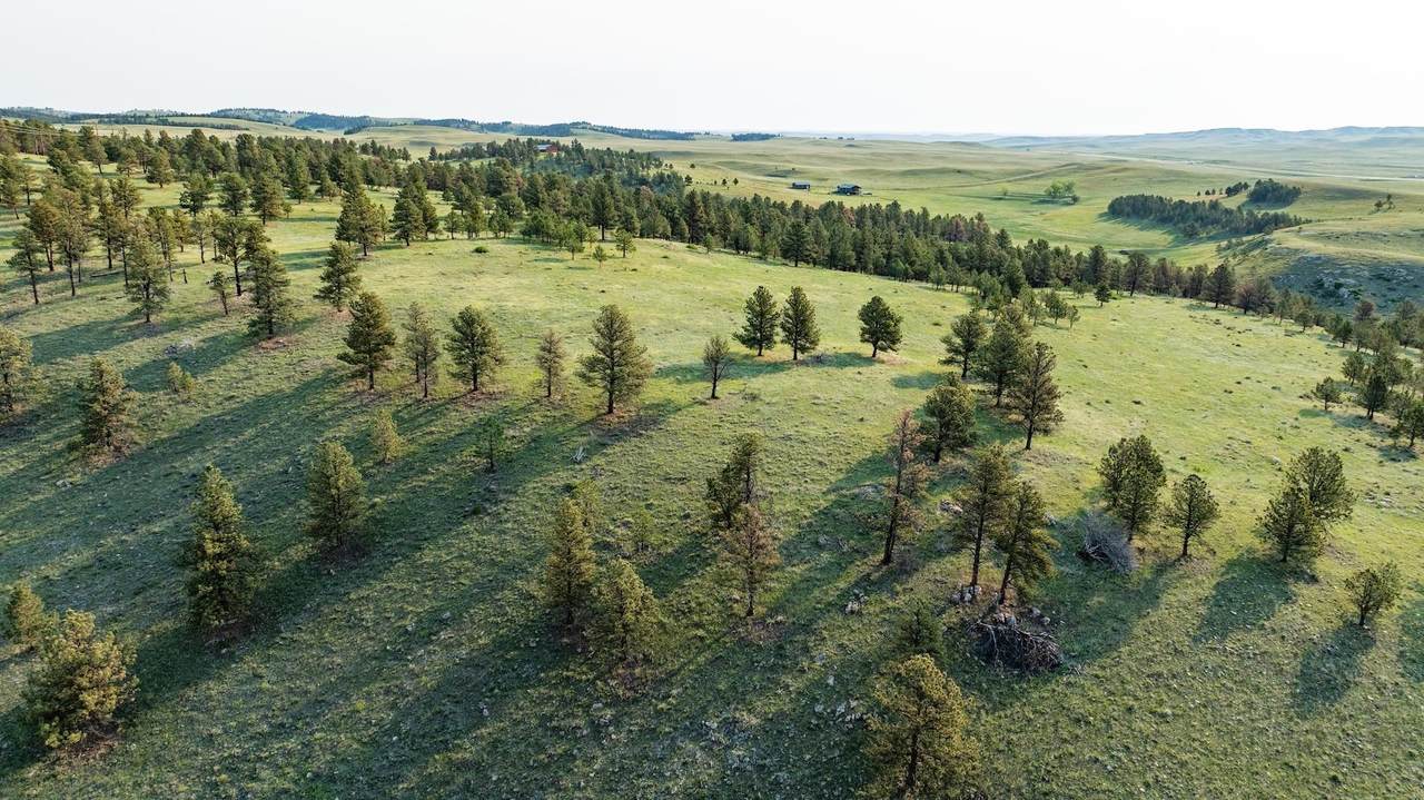 https://bt-photos.global.ssl.fastly.net/mtrushmore/1280_boomver_1_89593-2.jpg