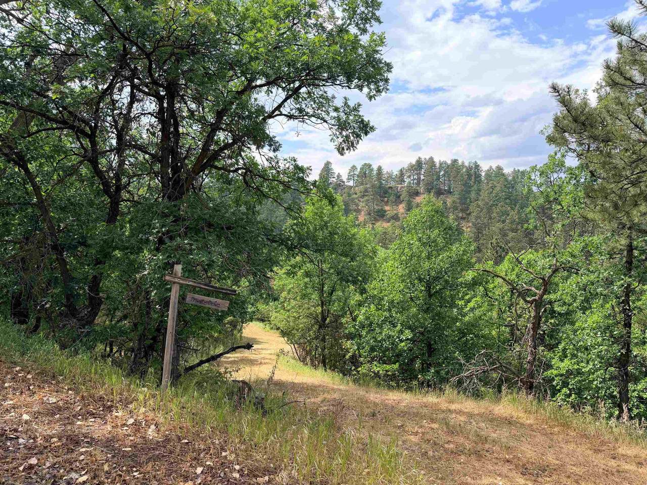 TBD Timberline Road - Photo 1