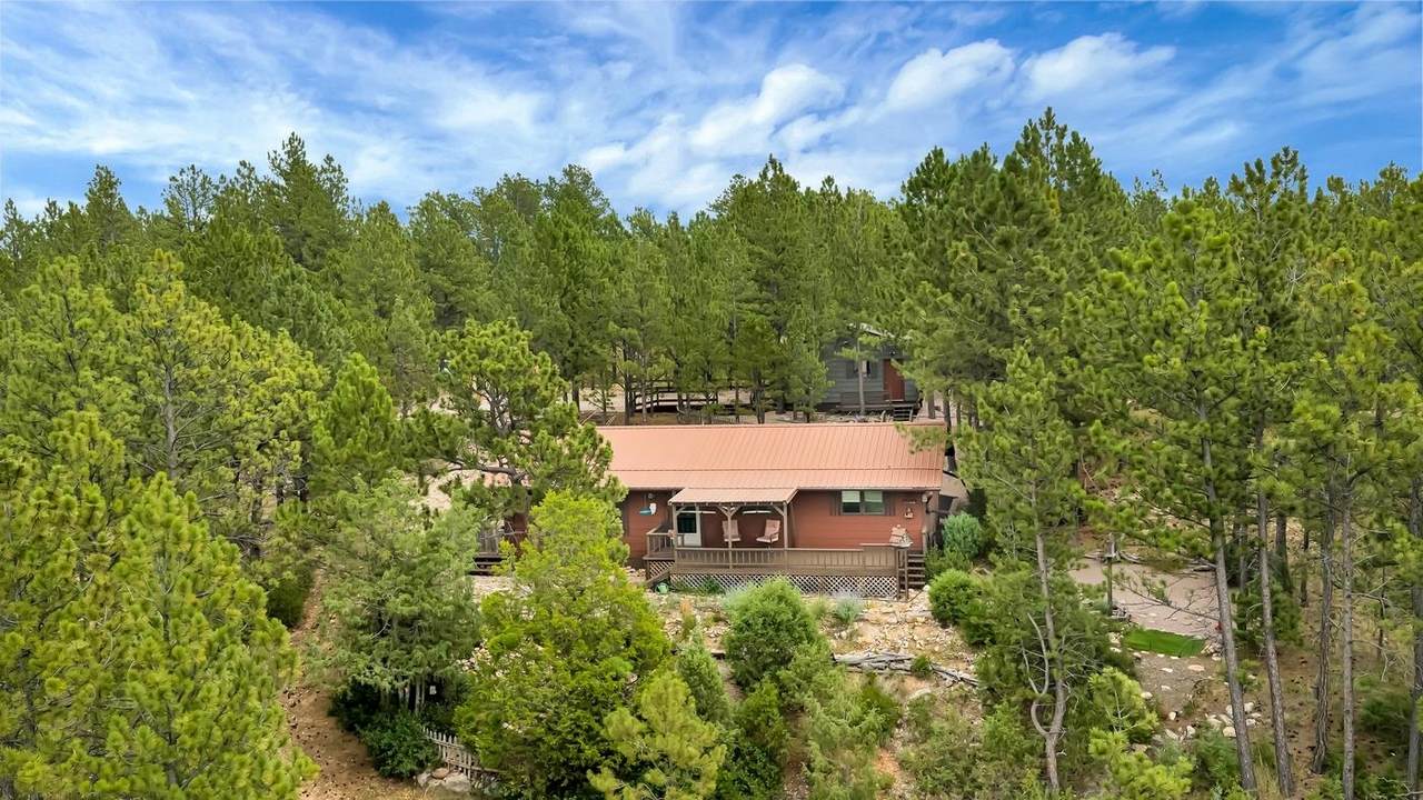 25604 Mountain Shadow Road - Photo 1