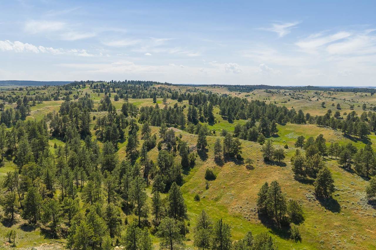 499 Government Canyon Rd - Photo 1