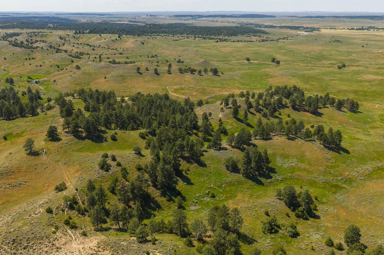 https://bt-photos.global.ssl.fastly.net/mtrushmore/1280_boomver_1_90076-2.jpg