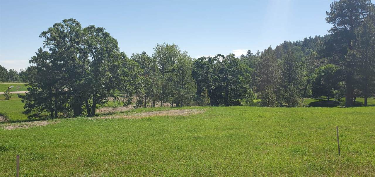 20208 Frog Pond Court - Photo 1