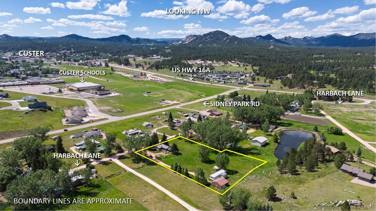 25120 Harbach Lane - Photo 1