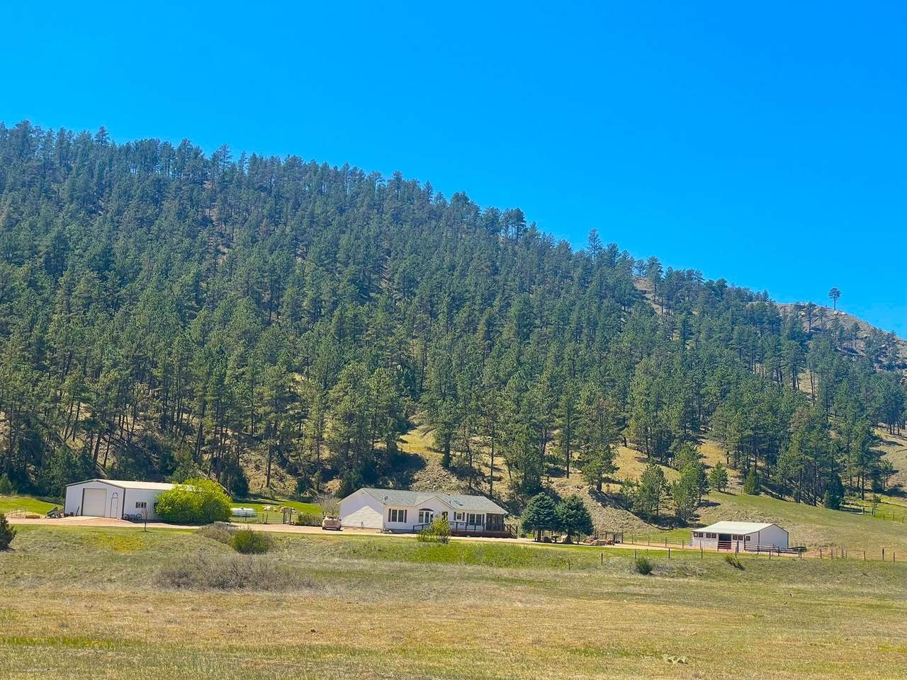 12909 Sheps Canyon Road - Photo 1