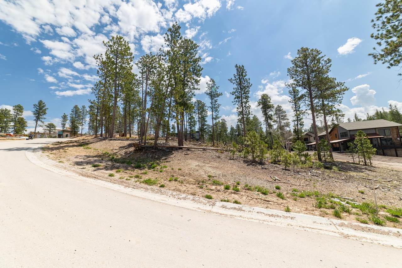 Lot 21 Dancing Sky Lane - Photo 1