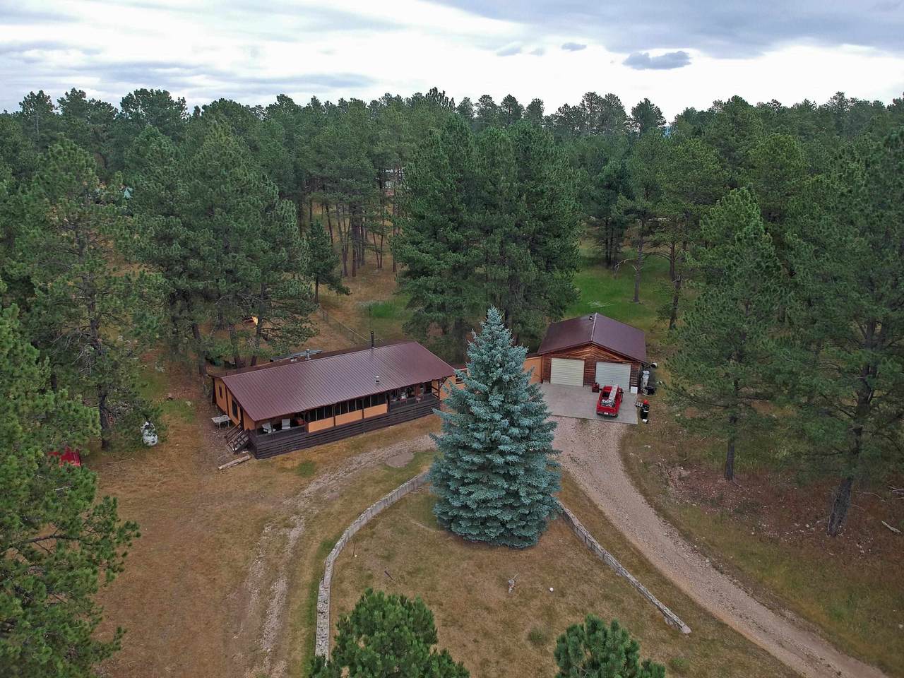 12210 Tweety Bird Lane - Photo 1