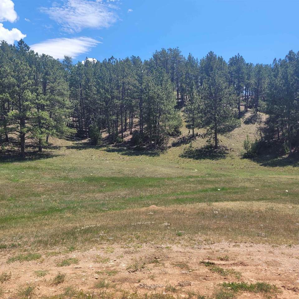 10251 Valley Road - Photo 1