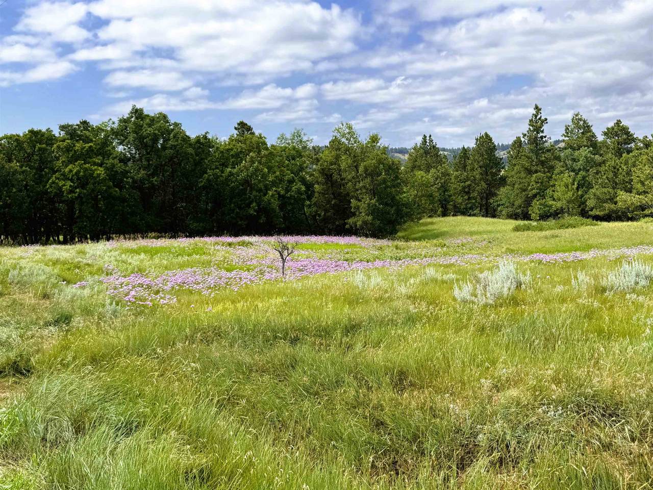 https://bt-photos.global.ssl.fastly.net/mtrushmore/1280_boomver_7_84100-2.jpg