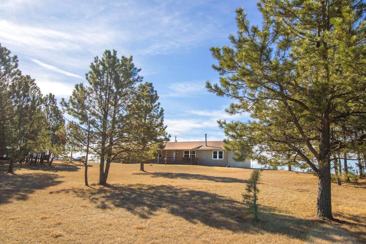 11981 Mountain Lion Lane - Photo 1