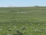 xxx Highway 79 - Photo 9