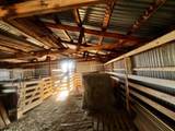 18651 Livestock Road - Photo 12