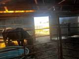 18651 Livestock Road - Photo 19
